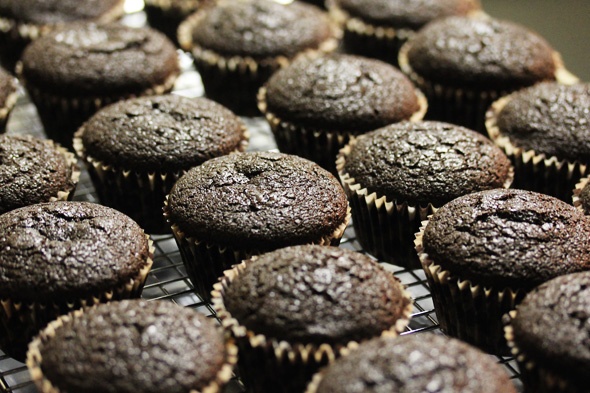 Chocolate Stout Cupcakes with Peanut Butter Buttercream