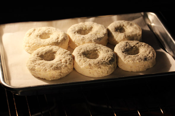 Buttery Buttermilk Biscuits