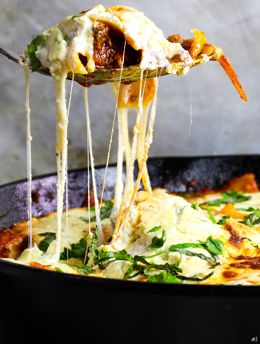 Cast Iron Skillet Lasagna, Dash of Savory