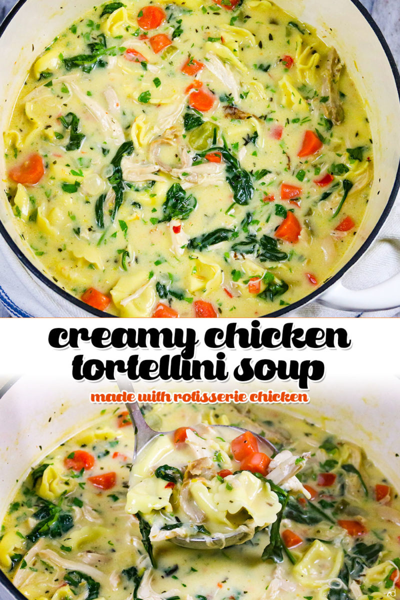 Creamy Rotisserie Chicken Tortellini Soup, easy to create and richly flavored. The best creamy chicken tortellini soup you\'ll ever have #carnaldish #chickensoup #chickentortellinisoup #creamychickentortellinisoup #tortellinisoup #souprecipes #comfortfood