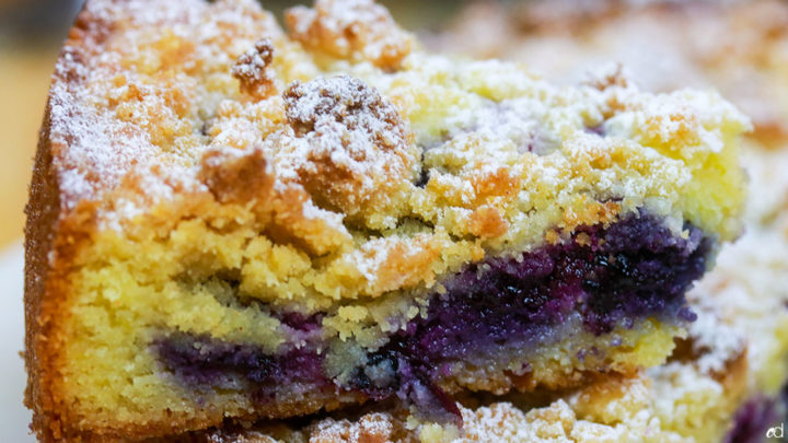 Sour Cream Blueberry Crumb Cake | Keto and Low Carb | CarnalDish